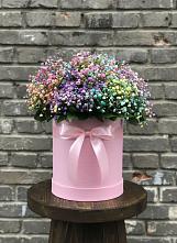 Цветочная композиция из Гипсофила и Розы в шляпной коробке #REPLACE_PRED# Молчаново