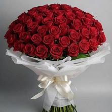Букет 101 Красная роза Блэк Мэджик в Молчаново