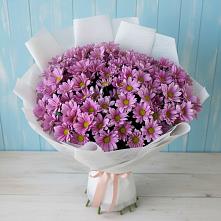 Букет цветов из:  Хризантемы в Молчаново