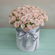 Цветочная композиция из Розы в шляпной коробке #REPLACE_PRED# Молчаново