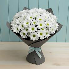 Букет цветов из:  Хризантемы в Молчаново