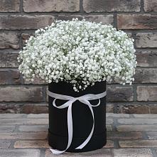 Цветочная композиция из Гипсофила в шляпной коробке в Молчаново