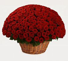 Премиум букет из: Розы в Молчаново