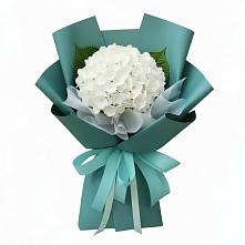 Букет цветов из:  Гортензия #REPLACE_PRED# Молчаново